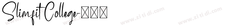Slimfit College字体转换